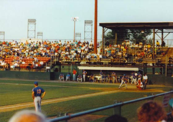 Beehive Field - Mets batter