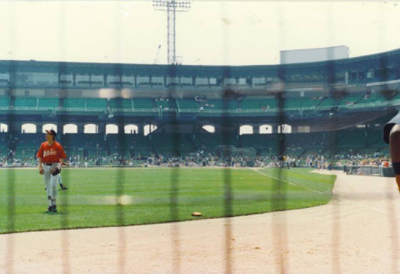 From the Bull Pen in the LF wall - Comisky Park