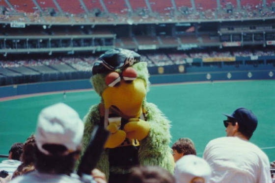 The Pirate Mascot enjoying a Beverage