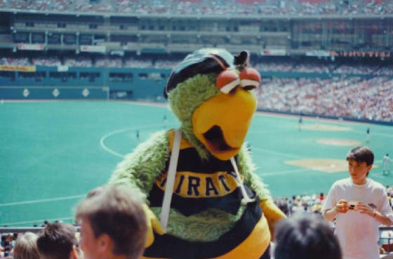 The Pirate Parrot - Three Rivers Stadium