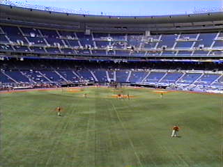 From Center Field - The Vet