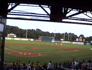 The field @ Yale Field - New Haven